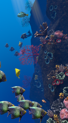 Captura de Pantalla 12 Ocean Aquarium android