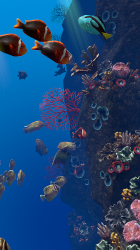Captura de Pantalla 14 Ocean Aquarium android