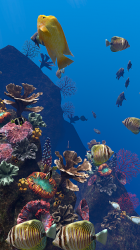 Screenshot 3 Ocean Aquarium android