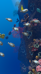Screenshot 10 Ocean Aquarium android