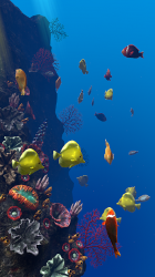 Capture 9 Ocean Aquarium android