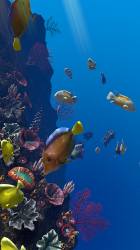 Screenshot 8 Ocean Aquarium android
