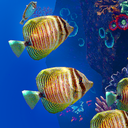 Capture 1 Ocean Aquarium android