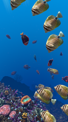 Captura 7 Ocean Aquarium android