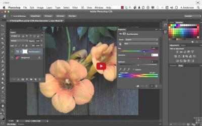Imágen 5 Make It Simple! Adobe Photoshop Guides windows