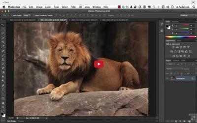 Capture 6 Make It Simple! Adobe Photoshop Guides windows