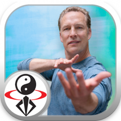 Captura 1 Qi Gong 30 Day Challenge with Lee Holden (YMAA) android
