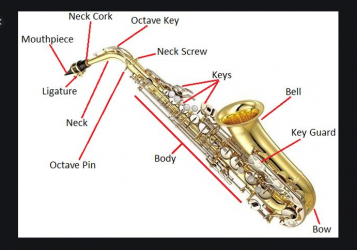 Imágen 6 Aprender tocar saxofón. Tipos de saxofones android