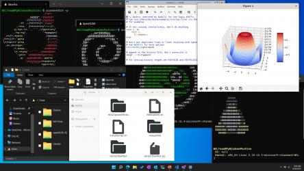 Captura de Pantalla 3 Windows Subsystem for Linux Preview windows