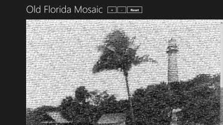 Capture 2 Old Florida Mosaic windows