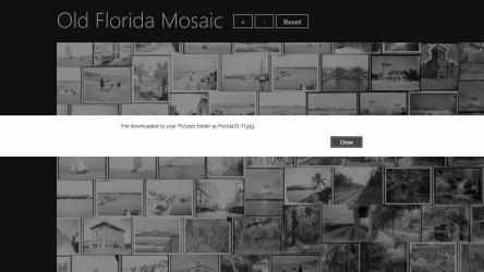 Capture 5 Old Florida Mosaic windows