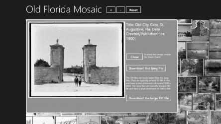 Capture 4 Old Florida Mosaic windows