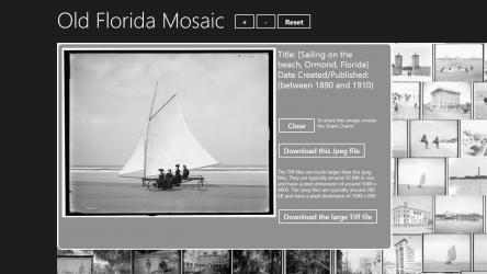 Capture 7 Old Florida Mosaic windows