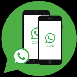 Capture 1 Clone App for whatsapp android