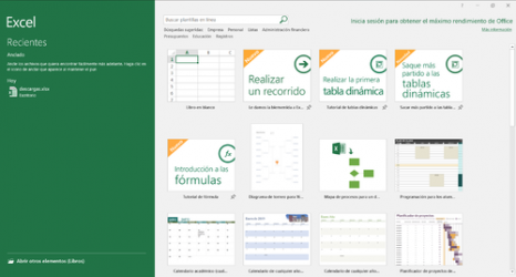 Captura 1 Microsoft Excel windows