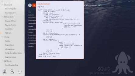 Screenshot 6 SQL Squid windows
