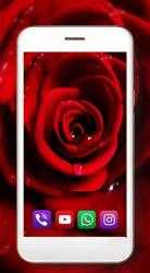 Screenshot 3 Rosas flores Rojas Fondos Pantalla Animados android