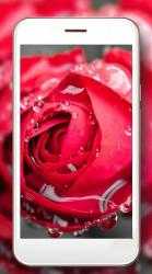 Screenshot 8 Rosas flores Rojas Fondos Pantalla Animados android
