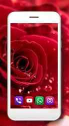 Captura de Pantalla 5 Rosas flores Rojas Fondos Pantalla Animados android