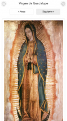 Captura de Pantalla 6 Milagrosa Virgen de Guadalupe android