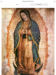 Captura de Pantalla 13 Milagrosa Virgen de Guadalupe android