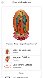 Captura 2 Milagrosa Virgen de Guadalupe android