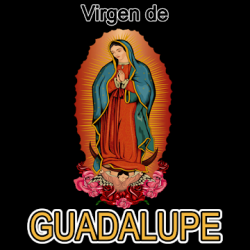 Captura de Pantalla 1 Milagrosa Virgen de Guadalupe android