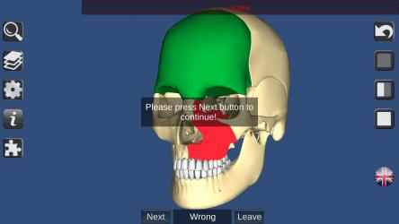Captura de Pantalla 6 3D Bones and Organs (Anatomy) windows