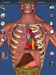 Screenshot 2 3D Bones and Organs (Anatomy) windows