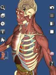 Imágen 1 3D Bones and Organs (Anatomy) windows