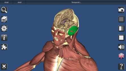 Captura de Pantalla 4 3D Bones and Organs (Anatomy) windows