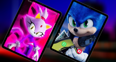 Screenshot 10 Hedgehog Wallpapers HD android