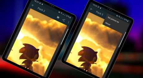 Screenshot 8 Hedgehog Wallpapers HD android