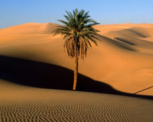 Captura de Pantalla 2 Desiertos del mundo. Tormentas de arena android