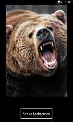 Screenshot 6 Bears Beets BSG windows