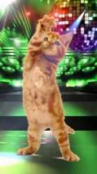 Captura 5 Dancing and Singing Funny Pets. Funny animals android