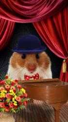 Captura 8 Dancing and Singing Funny Pets. Funny animals android