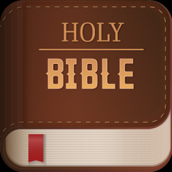 Captura 1 Holy Bible. New Testament android