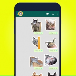 Screenshot 5 Lindos Stickers de Gato para WAStickerApps 2021 android