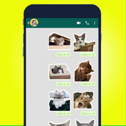 Captura 6 Lindos Stickers de Gato para WAStickerApps 2021 android