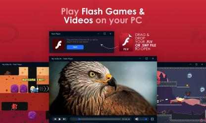 Screenshot 1 Player for Flash. windows
