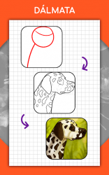Screenshot 14 Cómo dibujar animales. Lecciones paso a paso android