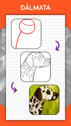 Image 6 Cómo dibujar animales. Lecciones paso a paso android