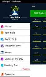 Image 3 Polish Holy Bible with Audio windows