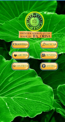 Screenshot 3 EweID (Plantas mágicas IFA Orisa) android