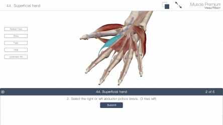 Imágen 7 Muscle Premium: 3D Visual Guide for Bones, Joints & Muscles — Human Anatomy & Kinesiology windows