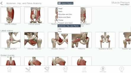 Captura de Pantalla 2 Muscle Premium: 3D Visual Guide for Bones, Joints & Muscles — Human Anatomy & Kinesiology windows