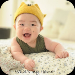 Screenshot 1 Hindu Baby Names With Meanings android