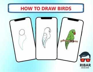 Captura 8 Cómo dibujar pájaros android