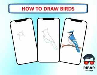 Screenshot 2 Cómo dibujar pájaros android